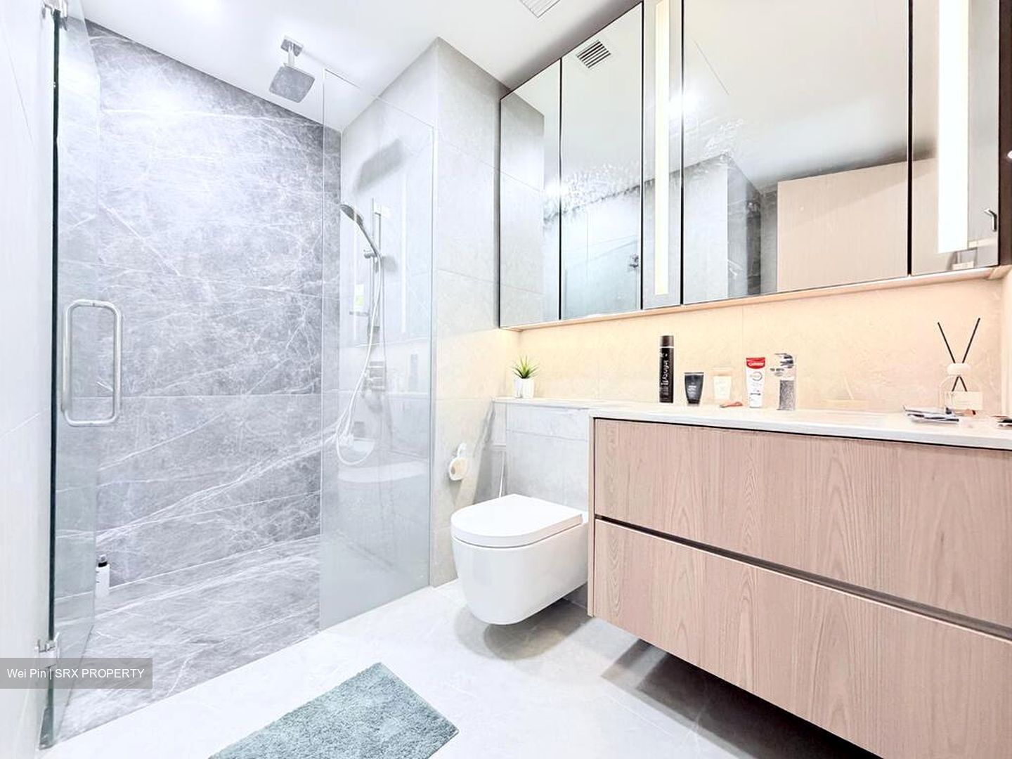 Peak Residence (D11), Condominium #573174251